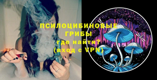 МДПВ Богданович