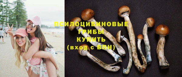 МДПВ Богданович