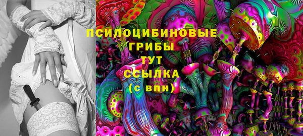 МДПВ Богданович