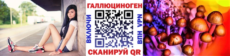 Псилоцибиновые грибы MAGIC MUSHROOMS  Купить  Белозерск 